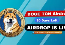 DogeTon Mining Bot Review