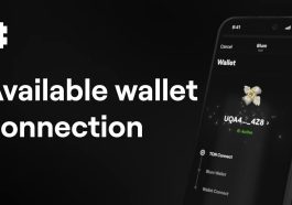 How To Connect Blum To Wallet