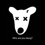 How To Fix “Who Are You Dawg” Error When Trying To Claim DOGS Airdrop