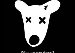 How To Fix “Who Are You Dawg” Error When Trying To Claim DOGS Airdrop