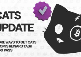 Cats Airdrop Checklist to Be Eligible And Listing Date